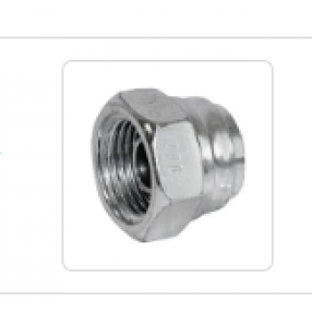 Blanking cap 138-12 3/4